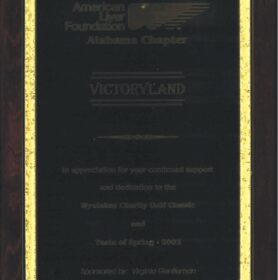 American Liver Foundation Support Recognition Plaque